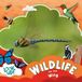 Wildlife Libri GmbH Look Up!- Wildlife on the Wing