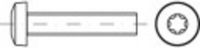 TOOLCRAFT Lenskopschroeven M3 25 mm T-profiel DIN 7985 RVS A2 1000 stuk(s)