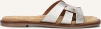 Notre-V 22730 Slippers - Dames - Goudkleurig - Maat 40