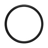 Gasket, Exhaust Pipe Gasket