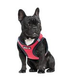 XT-Dog Arnes Neo Rood, M