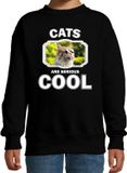 Bellatio Decorations Dieren katten sweater zwart kinderen - cats are serious cool trui jongens/ meisjes - cadeau gekke poes/ katten liefhebber - kinderkleding / kleding 152/164
