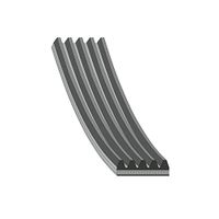 FEBI FE28836 V-ribbed belt