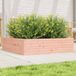 Maison Exclusive - Jardinière 90x90x23 cm en bois massif de Douglas