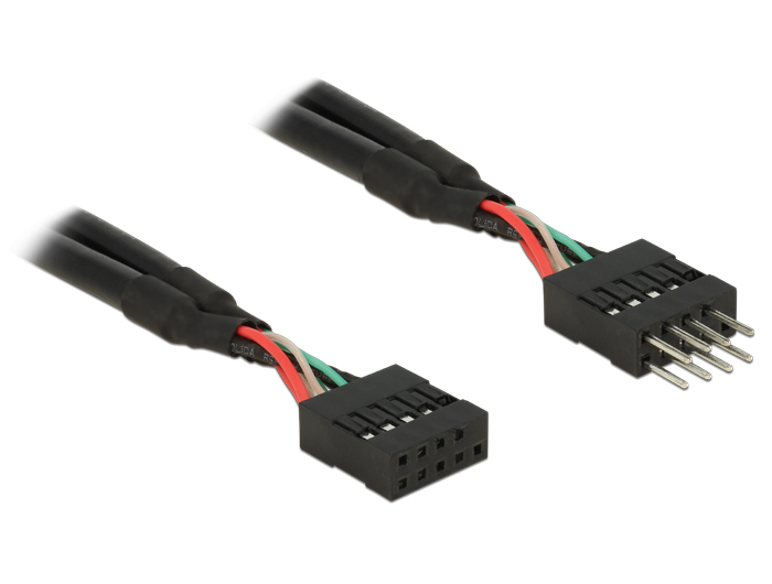 DeLOCK 0.1m 2xUSB2.0 10p