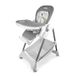 Neno Sedi Grey - Chaise haute multifonctionnelle - Réglable - 3 positions inclinables