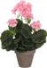 Mica Decorations Geranium Plante artificielle dans un pot de fleurs Stan - H34 x Ø20 cm - Rose
