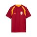 PUMA Maillot d’entraînement Galatasaray SK Enfant et Adolescent, Accessoires, Rouge, 9-10Y