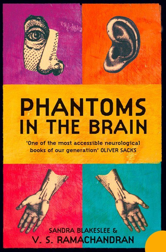 Phantoms Bol Phantoms in the Brain