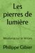 Les pierres de lumière: Résistance sur le Vercors