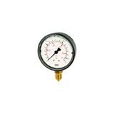 RIEGLER 102076-704-K Glycerinmanometer, kunststof, G 1/4 onder, 0-2,5 bar, Ø 63, 1 st.