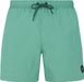 Protest Zwembroek Heren Frosty Green XXL