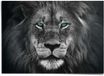 REINDERS XXL Poster Leeuw - 100 x 140 - Papier