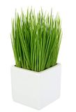 Kunstmatige pot van keramiek, kunstgras, groene plant, kunstgras, decoratieve gras, grasstruik, bieslook, tuinkruiden, siergras, kunststof, groen, 9 x 9 x 22 cm