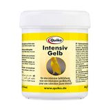 Quiko Intensive Yellow 100g