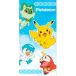 Educa Borras Microvezel strandlaken Pokémon