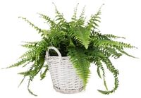 KOTARBAU® Plantenmand, Gevlochten Wilg, ⌀ 31 cm, Grijs