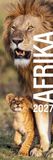 Afrika Afrika Vertikal Kalender 2027: Vertikaler Panorama-Kalender im schlanken Hochformat (33x100 cm) | Tiere und Landschaft in Afrika