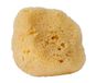 CROLL & DENECKE natuurspons, naturel
