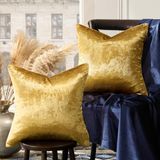 GIGIZAZA Decoratieve kussenhoezen 16x16, set van 2 gouden vierkante bankkussens, fluwelen sofa boho kussens
