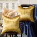 GIGIZAZA Decoratieve kussenhoezen 16x16, set van 2 gouden vierkante bankkussens, fluwelen sofa boho kussens