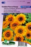 Sluis Garden Venidium Prince of Orange Flower Seeds