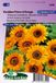 Sluis Garden Venidium Prince of Orange Flower Seeds