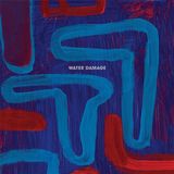Sonic Rendezvous Water Damage Instruments (2 LP)
