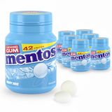 Mentos Kauwgom Mighty Mint Bottle (6x42 stuks)
