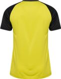 Hummel maillot de sport Hmlmatch rayé jersey S/S 233155