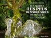 Les Arbres les plus remarquables de France