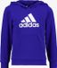 Adidas Sportswear Big Logo Essentials Katoenen Hoodie Kinderen Blauw