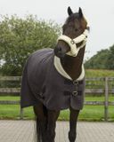 QHP Halster Alaska Grijs-beige - Shetlander