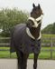 QHP Halster Alaska Grijs-beige - Shetlander