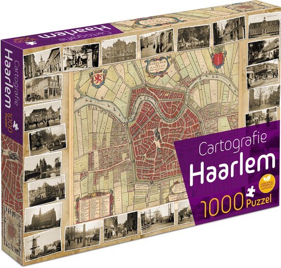 Tucker's Fun Factory Haarlem Cartografie Puzzel (1000 stukjes)