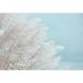 Pampas Papier Peint Panoramique - 325 cm x 224 cm