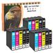 Epson Cartouches d'encre pour imprimantes Epson, 15 pièces : 6 noir, 3 cyan, 3 magenta, 3 jaune