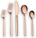 Ensemble de couverts plaqué or rose en titane de 30 pièces sans marque