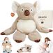 Koala peluche lestée, 2,3 kg