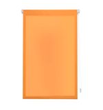 INTERBLIND Premium EasyFix rolgordijn, doorschijnend, glad, 37 x 180 cm