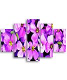 Homemania Wandafbeelding, bloemenmotief, 5 stuks, natuur, voor woonkamer, meerkleurig, 95 x 0,3 x 60 cm, HM205MDF13, MDF