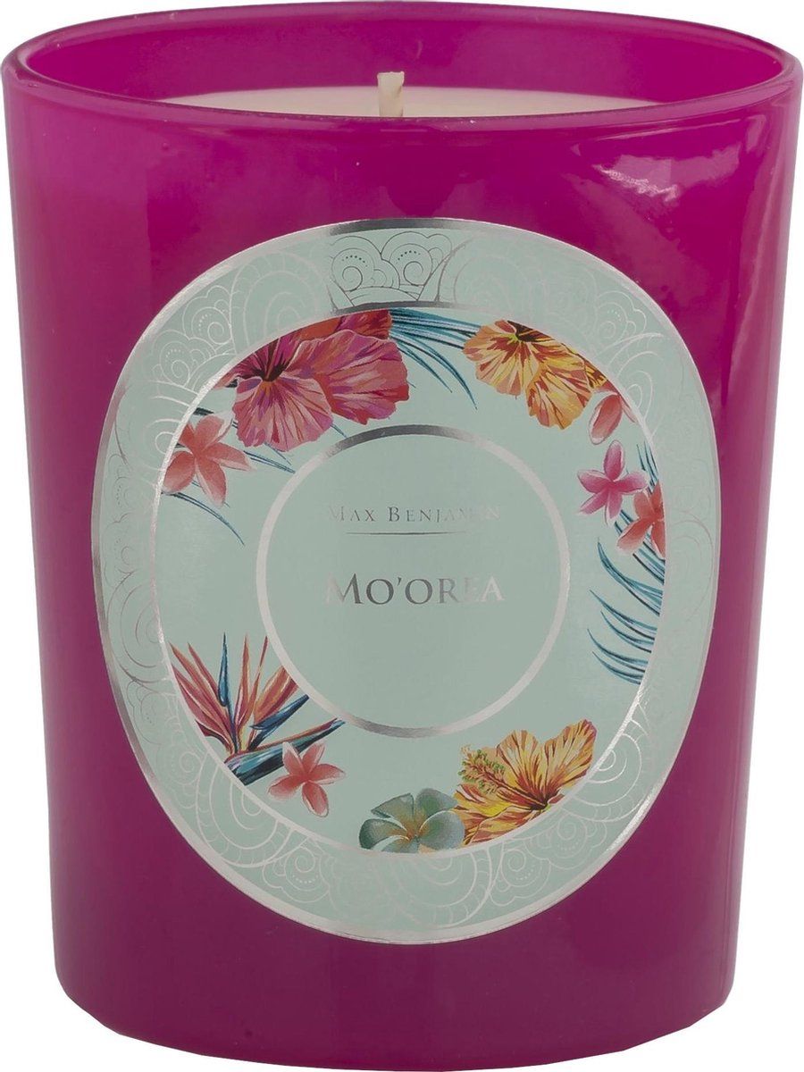 Max Benjamin Geurkaars Ocean Islands Mo'orea 7,5 Cm Paars