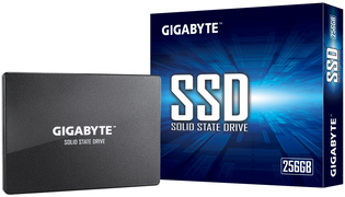 Gigabyte GP-GSTFS31256GTND