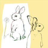 Domino Records Beat Happening Look Around -Hq-