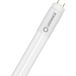 LEDVANCE LED-buis-Buis Energielabel: D (A - G) G13 T8 7.5 W Neutraalwit 1 stuk(s) (Ø x l) 27.80 mm x 603.00 mm Elektronisch voorschakelapparaat Incl.