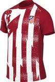 NIKE Atlético Madrid Academy Pro Away Pre-Match Football Top Homme