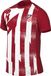 NIKE Atlético Madrid Academy Pro Away Pre-Match Football Top Homme