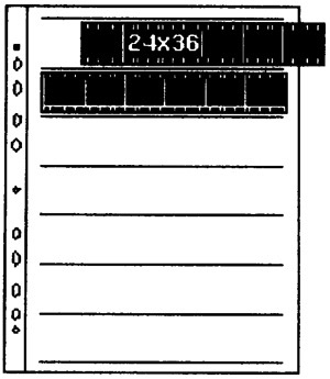 Kaiser Negative Filing Sheets