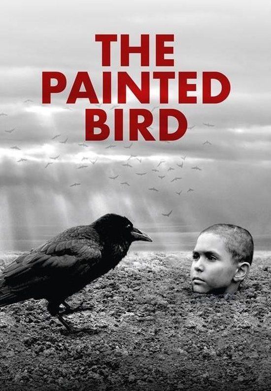 Source1 Painted Bird (DVD) - Drama - Region 2