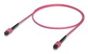 Ubiquiti UACC-OFC-MA-MPMP-1M-10 InfiniBand et câble fibre optique MPO-12 Rose 1m